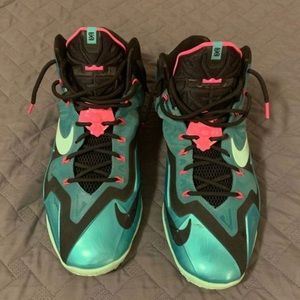 Lebron 11 South Beach